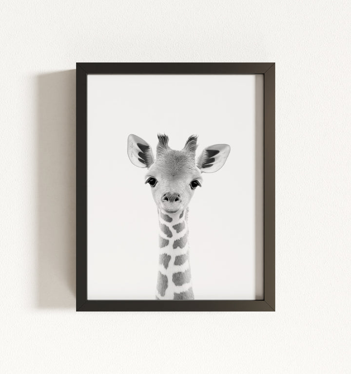 Baby Giraffe Framed Art