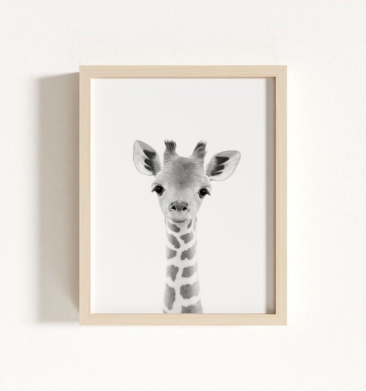 Baby Giraffe Framed Art