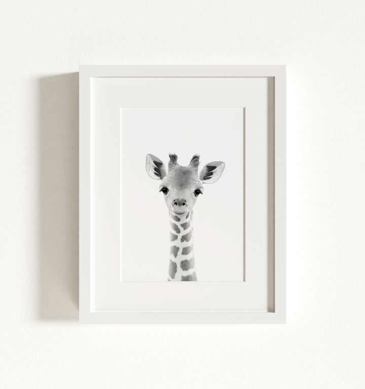 Baby Giraffe Framed Art