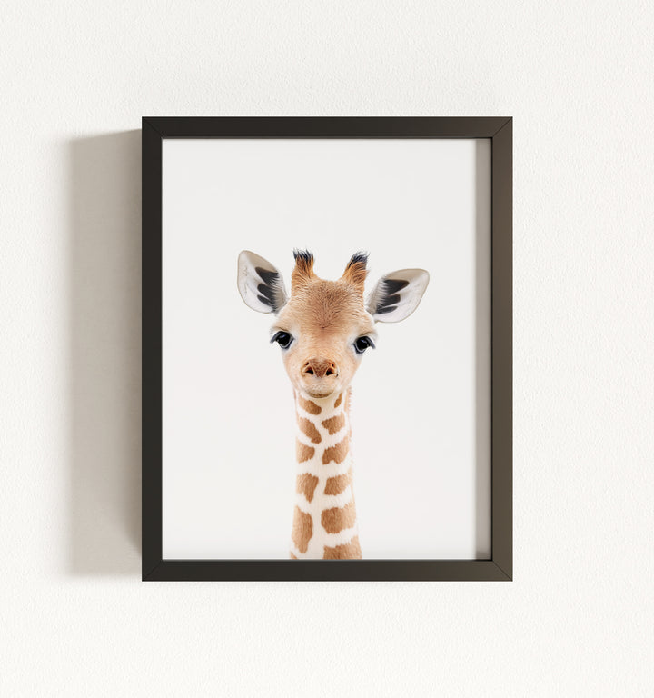 Baby Giraffe Framed Art
