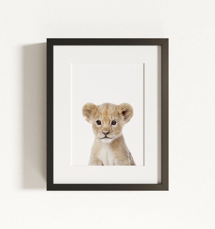 Baby Lion Framed Art