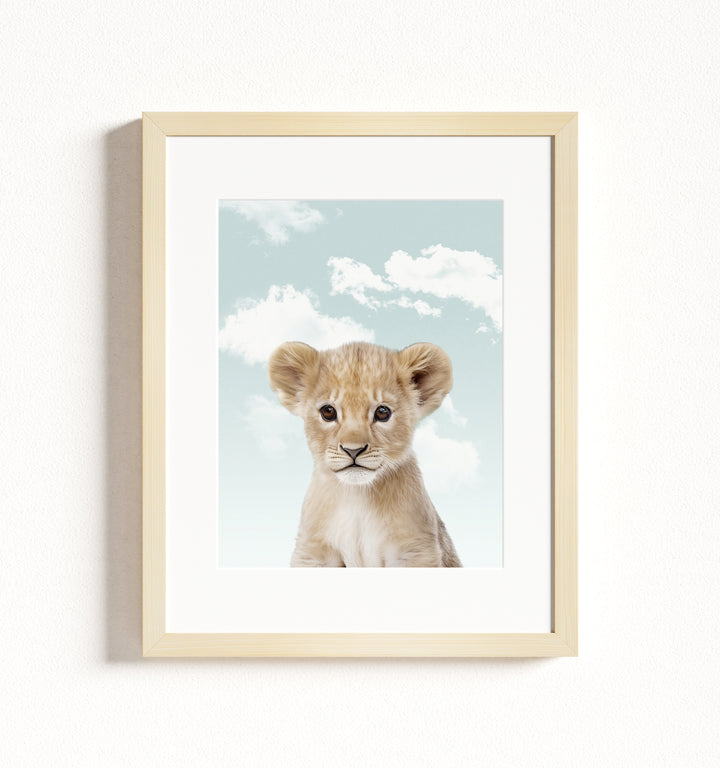 Baby Lion