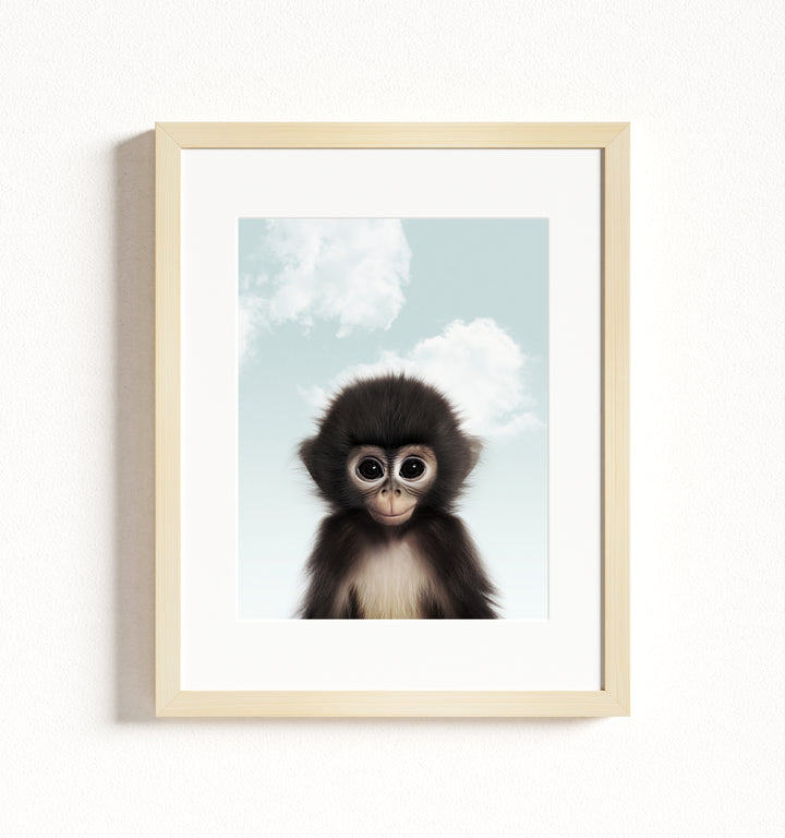 Baby Monkey