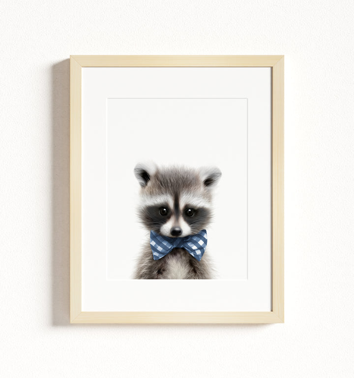 Baby Raccoon