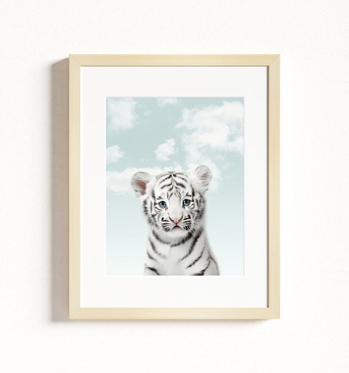 Baby White Tiger