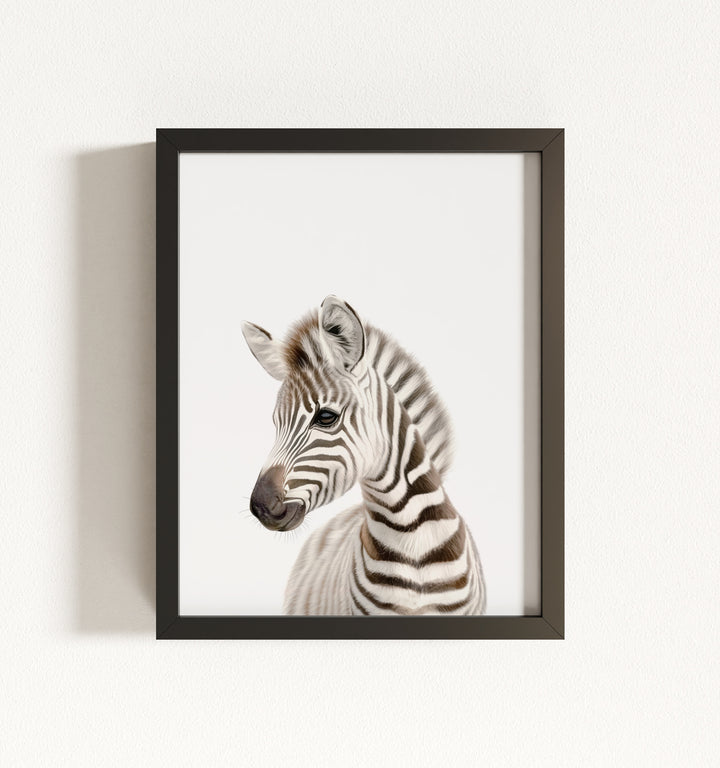 Baby Zebra Framed Art