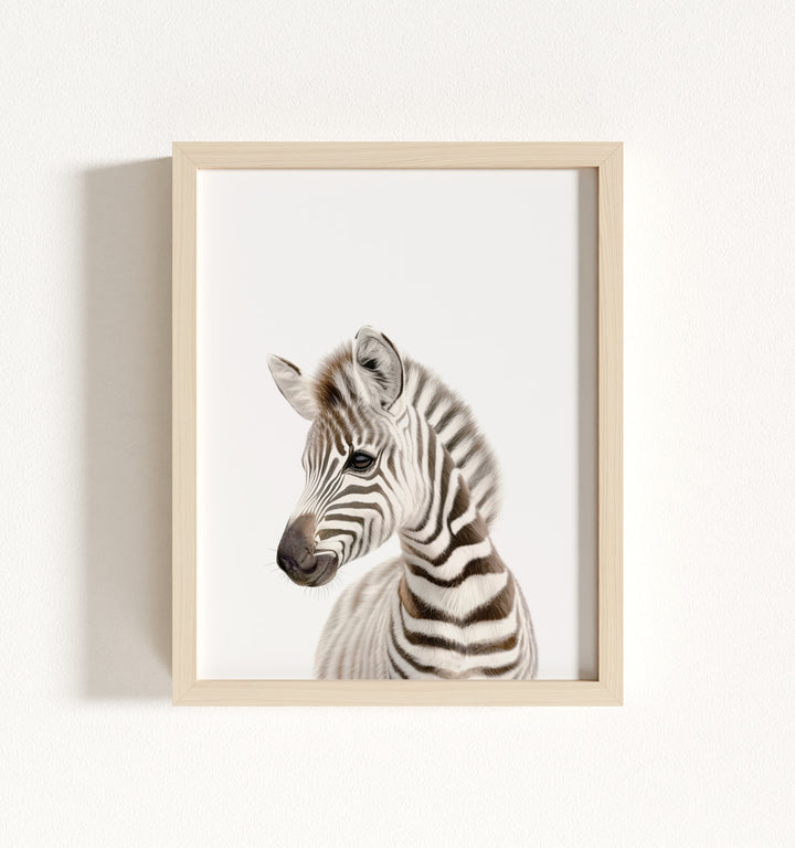 Baby Zebra Framed Art