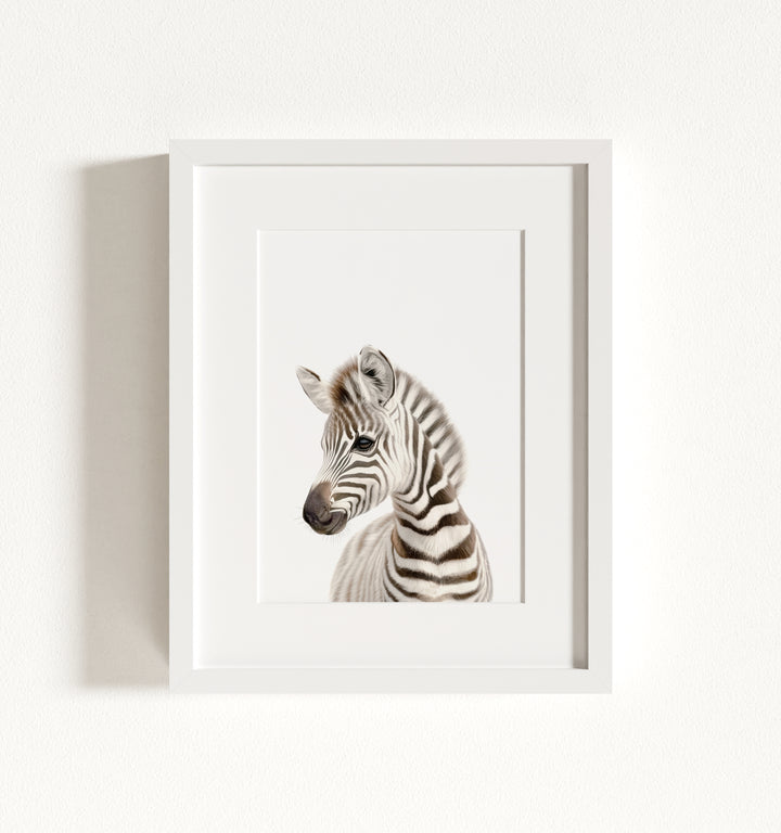 Baby Zebra Framed Art