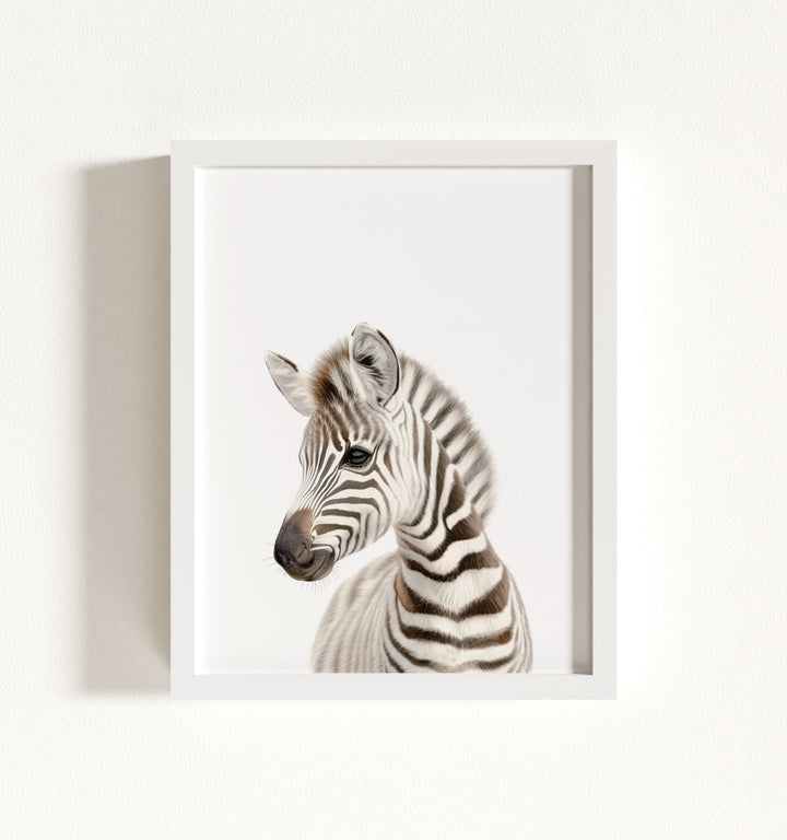 Baby Zebra Framed Art