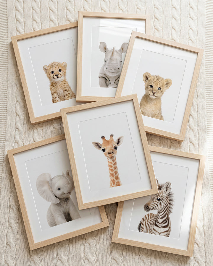 Set of framed prints featuring baby safari animals on a white background | The Crown Prints