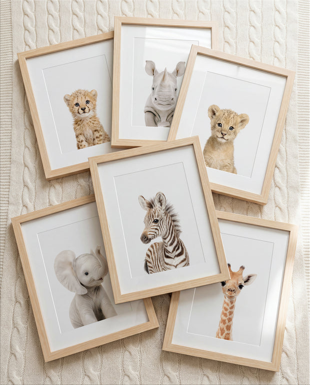 The Baby Animals 2026 Collection
