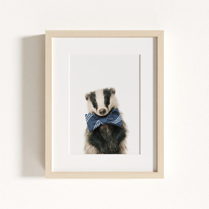 Baby Badger
