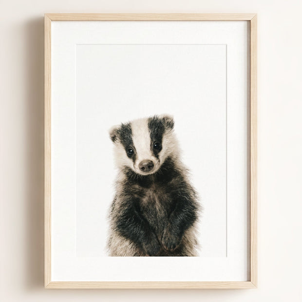 Baby Badger