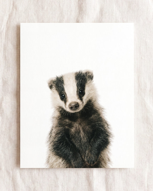 Baby Badger