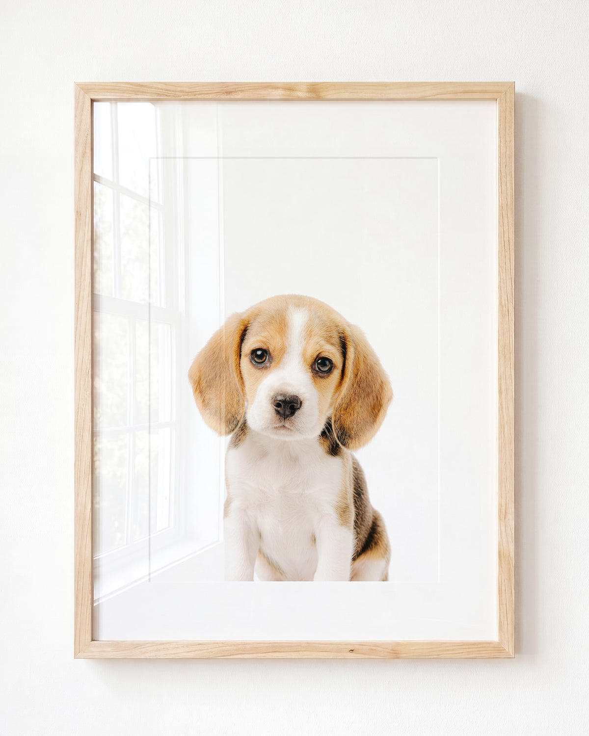 Baby Beagle Puppy