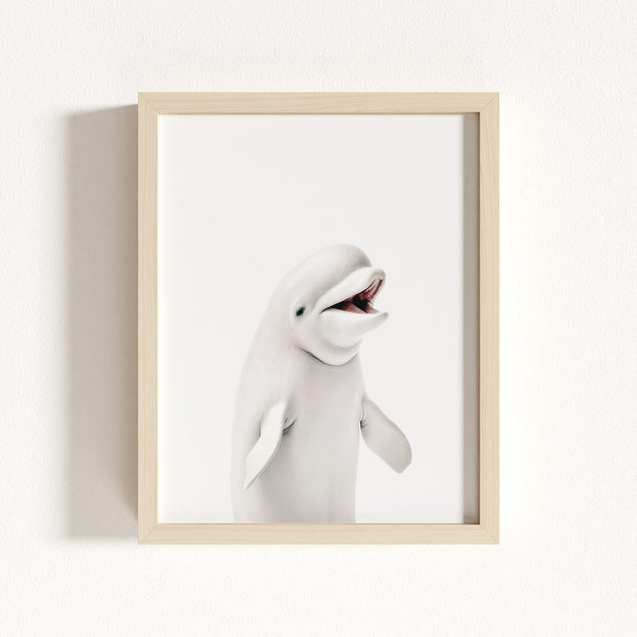 Baby Beluga Whale