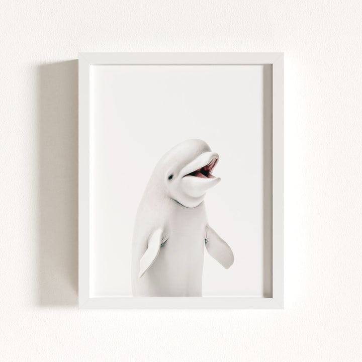 Baby Beluga Whale