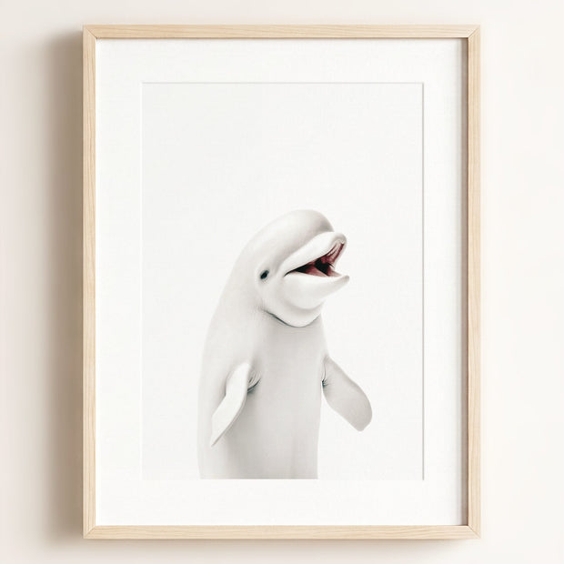 Baby Beluga Whale