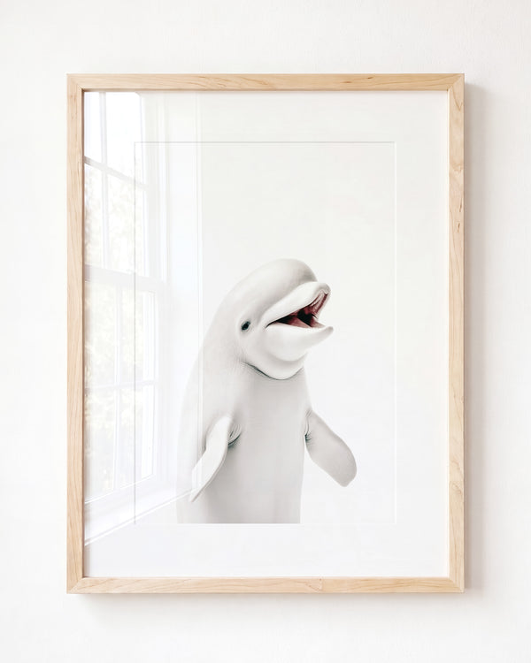 Baby Beluga Whale — Framed