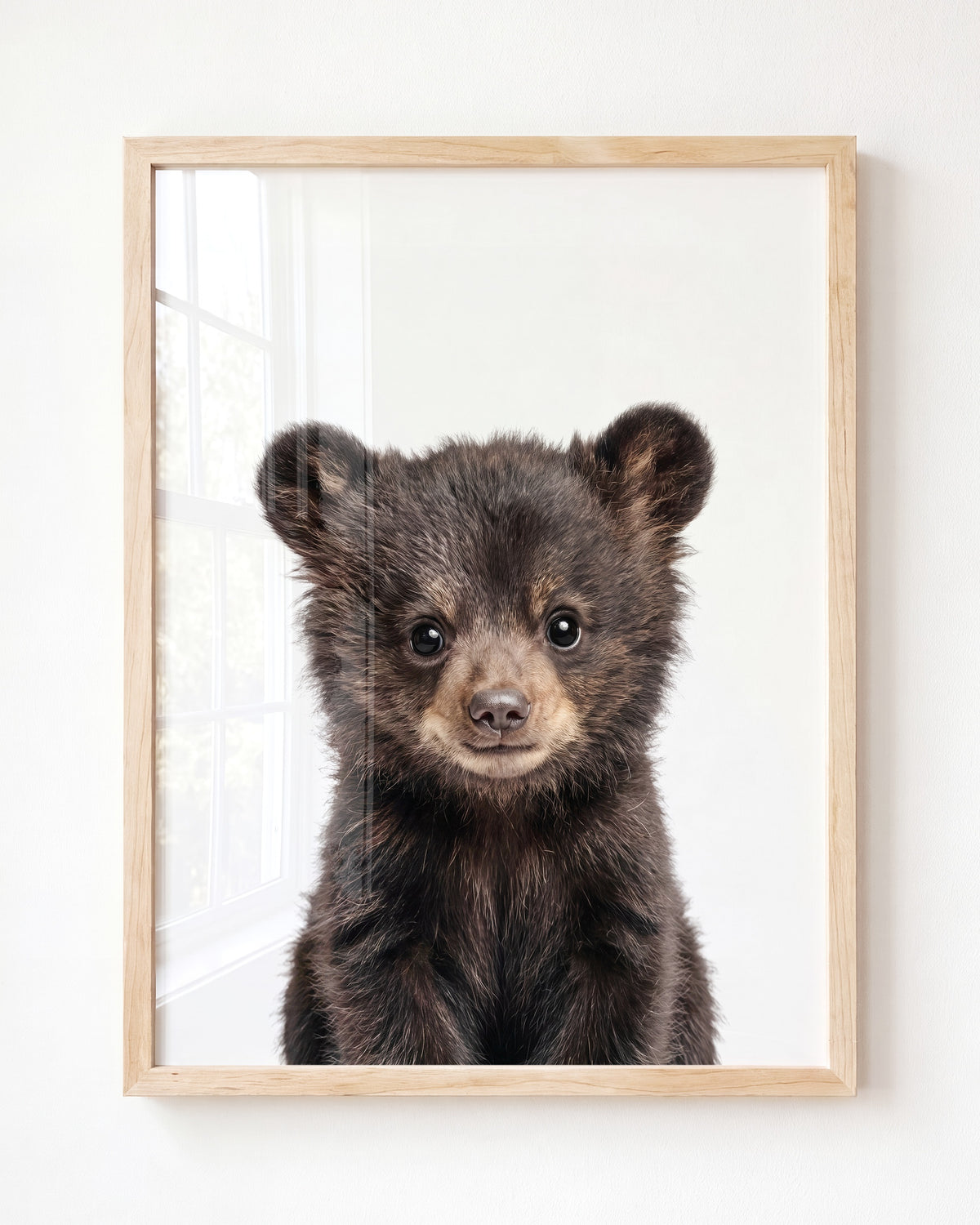 Baby Black Bear — Framed
