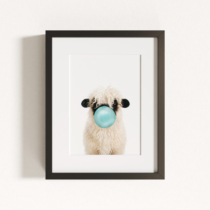 Baby Blacknose Sheep