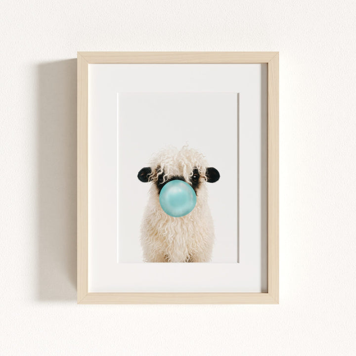 Baby Blacknose Sheep