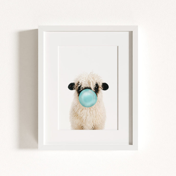 Baby Blacknose Sheep