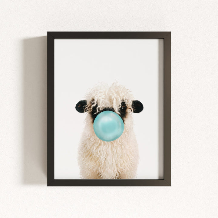 Baby Blacknose Sheep