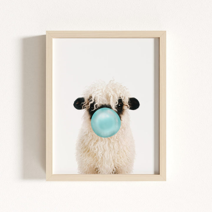 Baby Blacknose Sheep