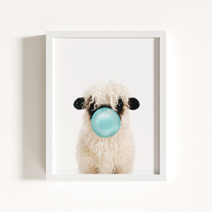 Baby Blacknose Sheep