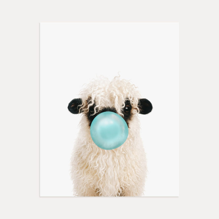 Baby Blacknose Sheep