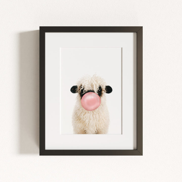 Baby Blacknose Sheep