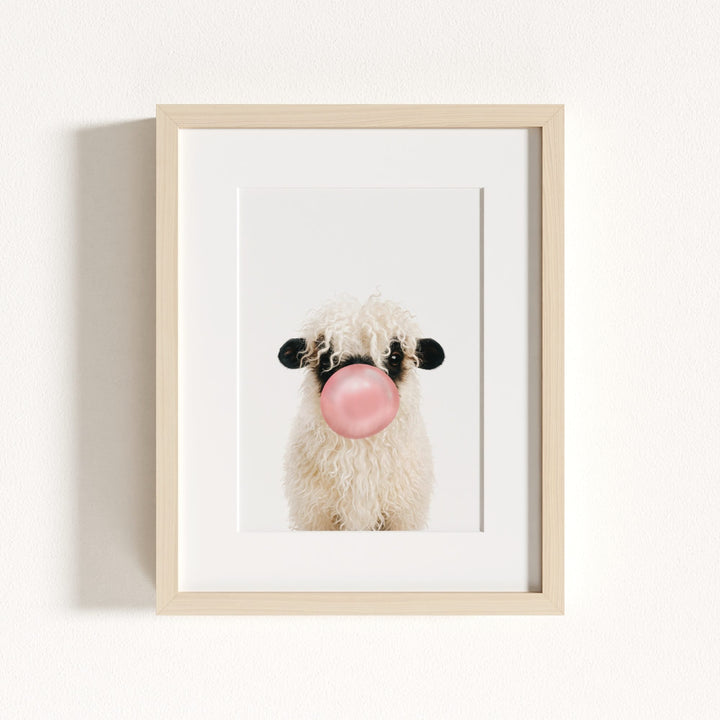 Baby Blacknose Sheep