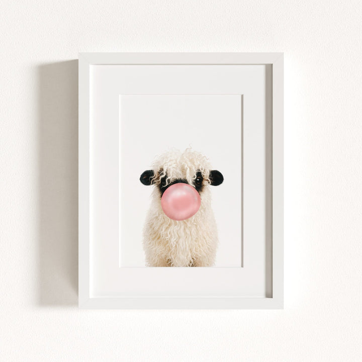 Baby Blacknose Sheep