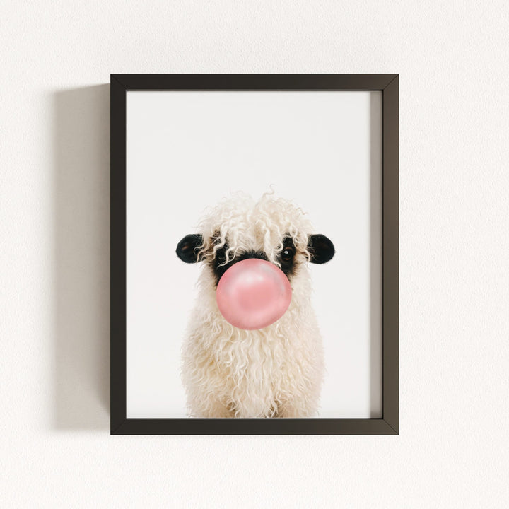 Baby Blacknose Sheep