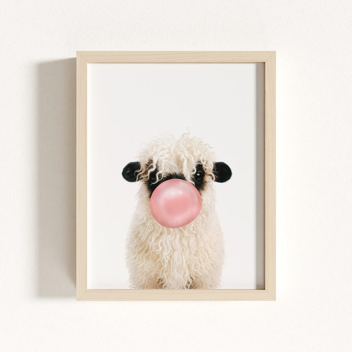 Baby Blacknose Sheep