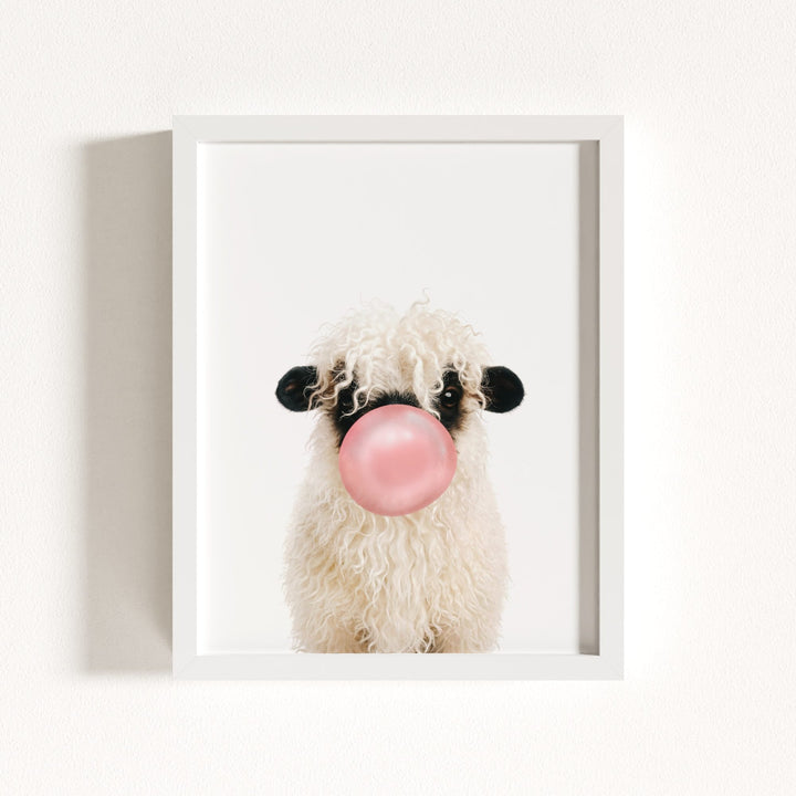 Baby Blacknose Sheep