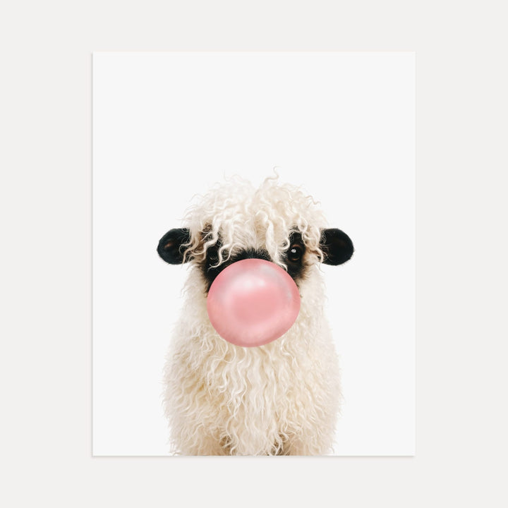 Baby Blacknose Sheep