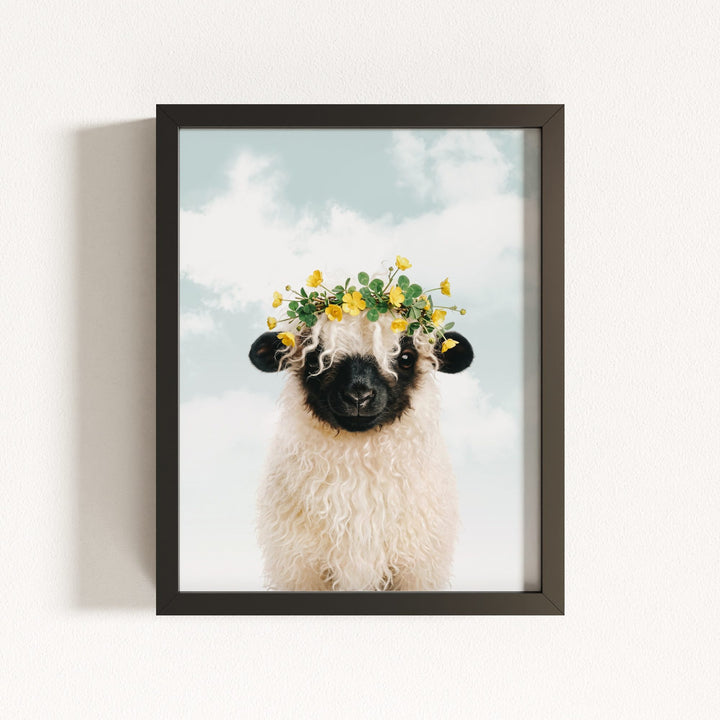 Baby Blacknose Sheep