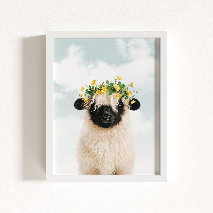 Baby Blacknose Sheep