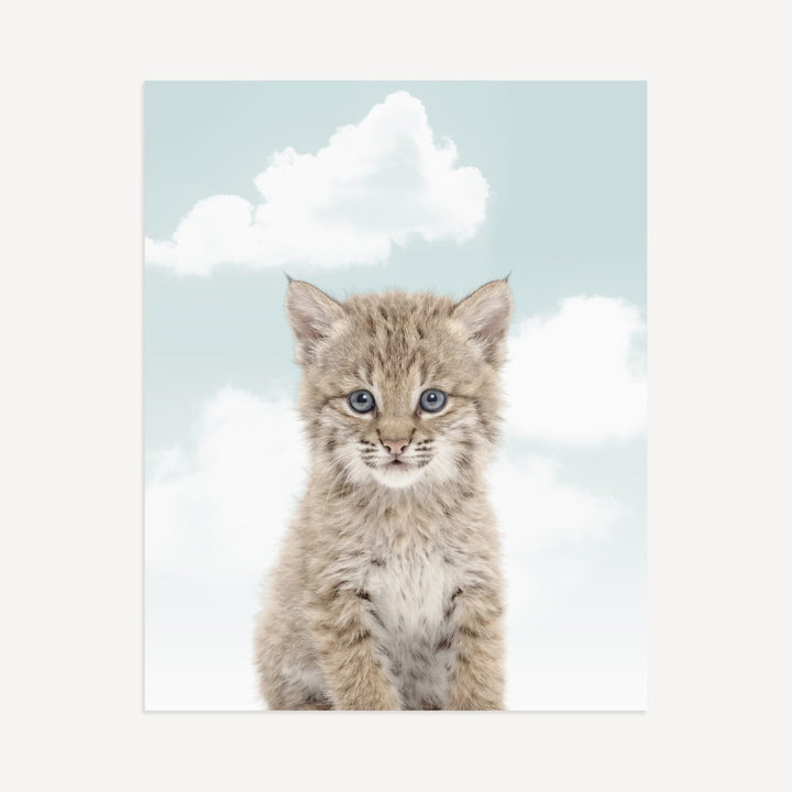 Baby Bobcat