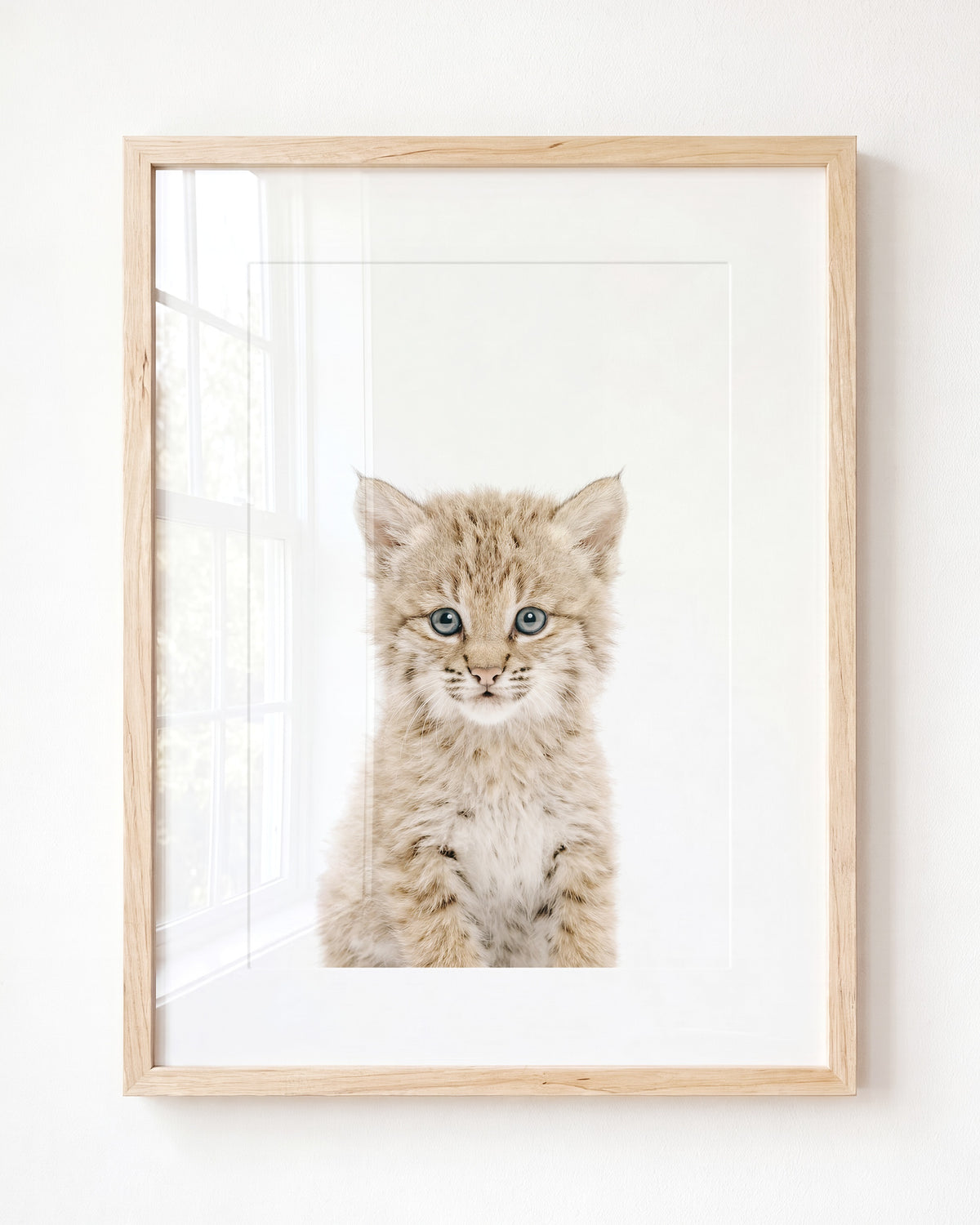 Baby Bobcat — Framed