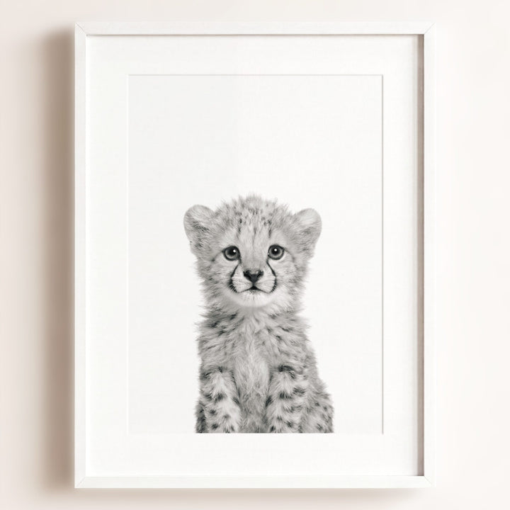 Baby Cheetah