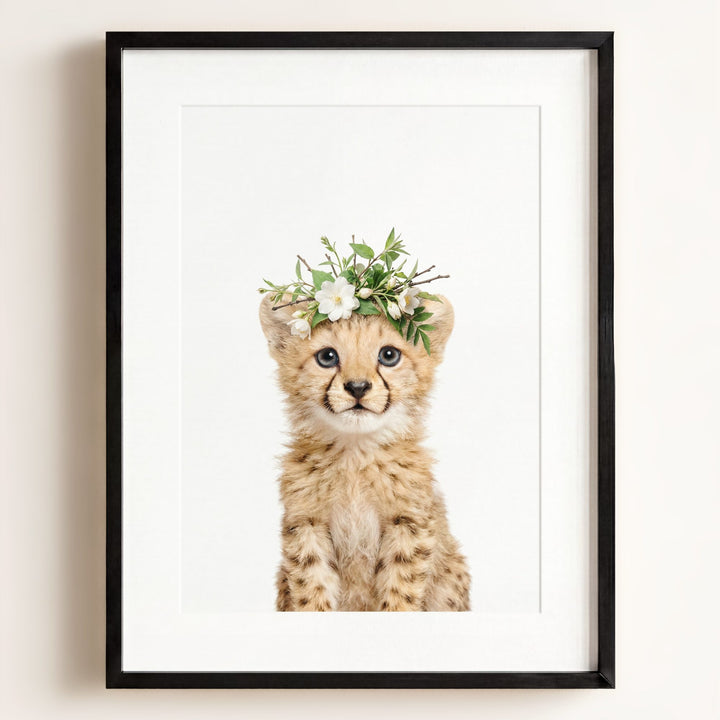 Baby Cheetah