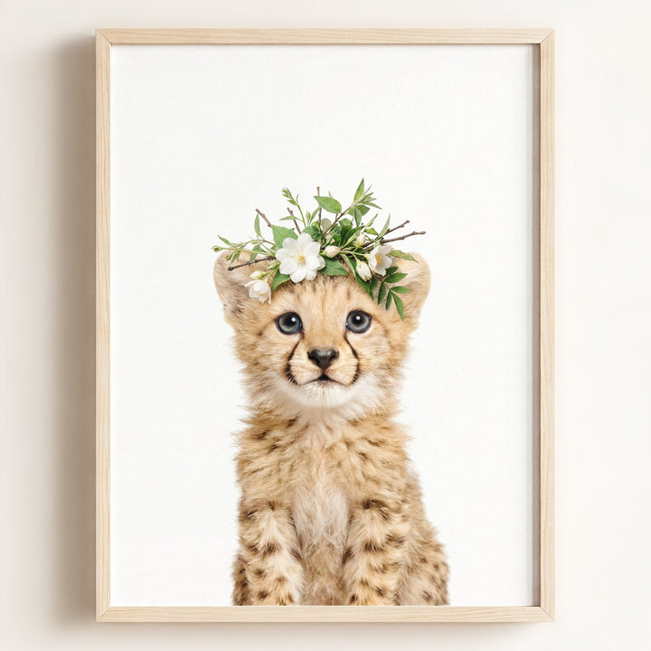 Baby Cheetah