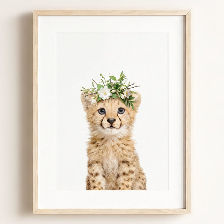 Baby Cheetah