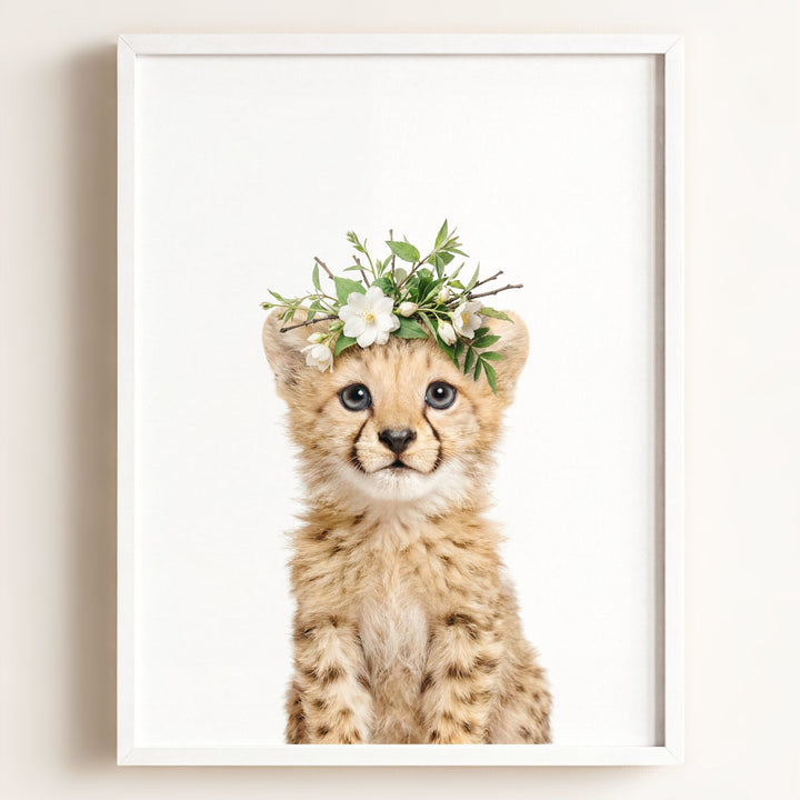 Baby Cheetah