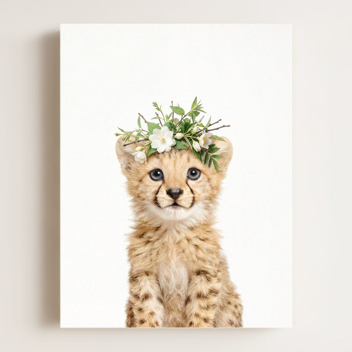 Baby Cheetah