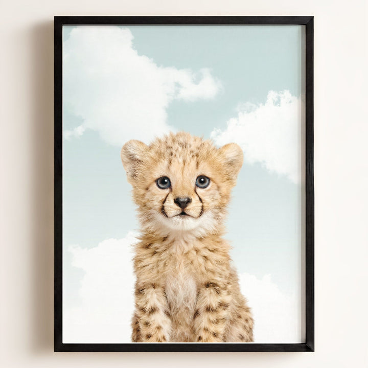 Baby Cheetah