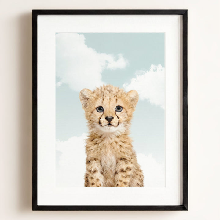 Baby Cheetah
